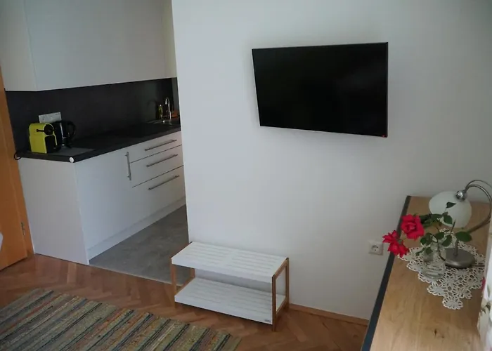 Guest house Hartmann 3*