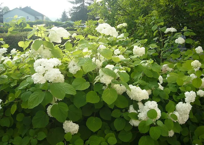 Guest house Hartmann 3*