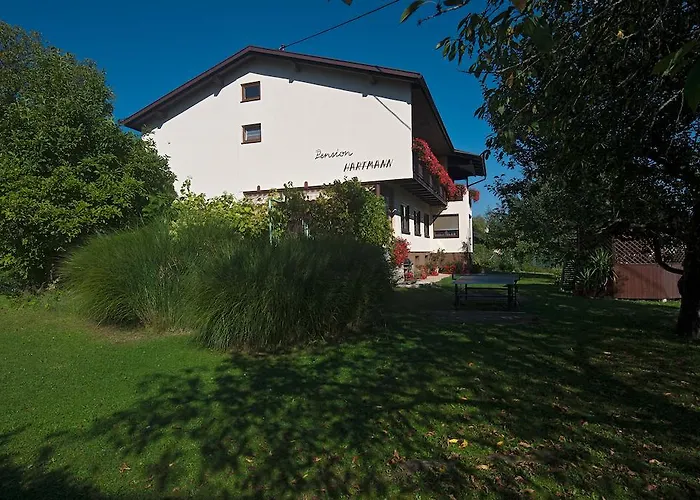 Guest house Hartmann 3*